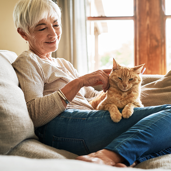 Pet Friendly Senior Living Community in Lacey, WA Panorama